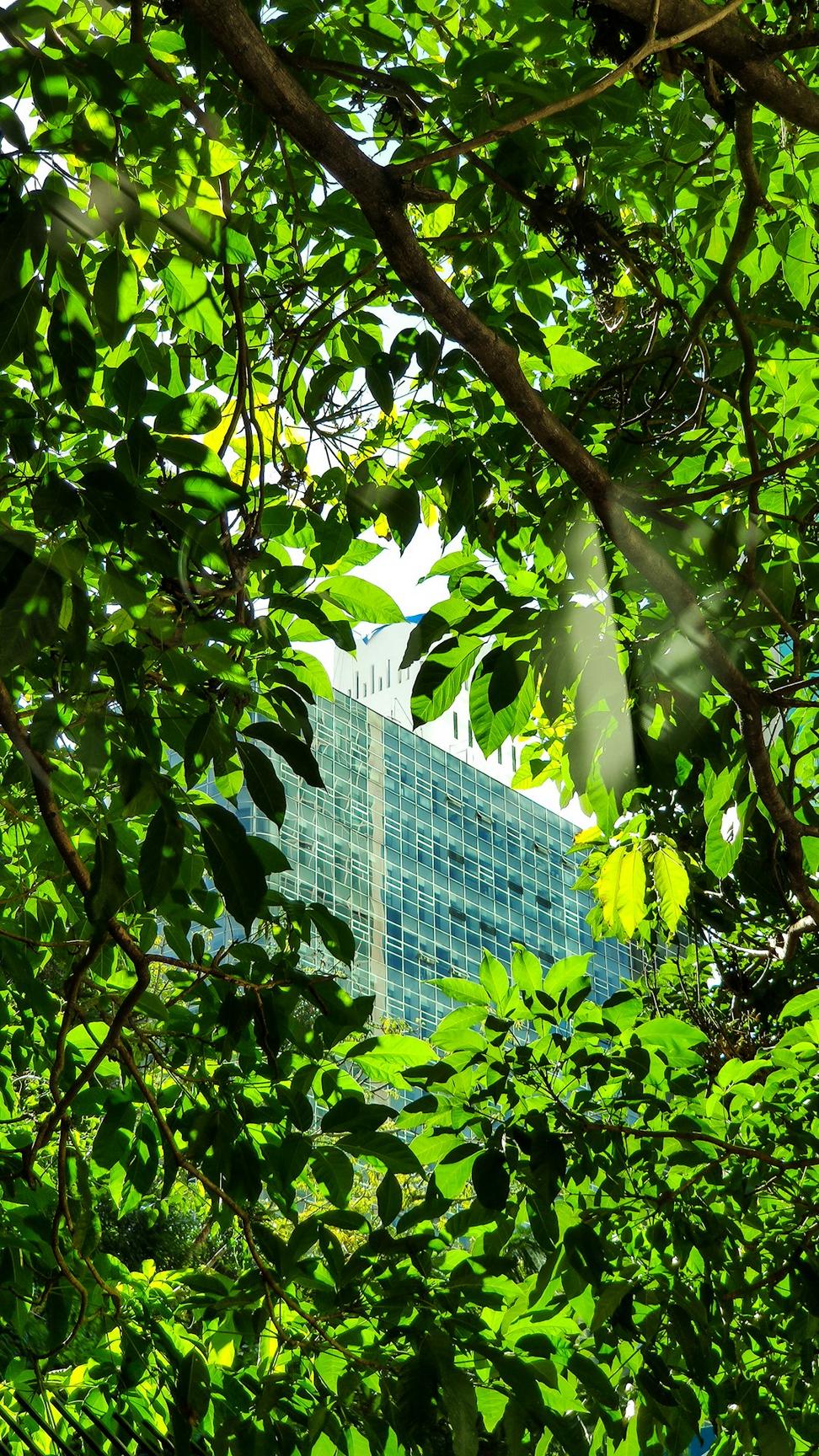 Green Building Certifications